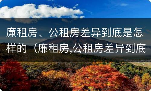 廉租房、公租房差异到底是怎样的（廉租房,公租房差异到底是怎样的情况）