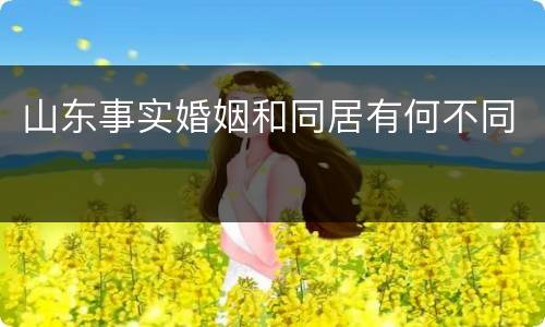 山东事实婚姻和同居有何不同