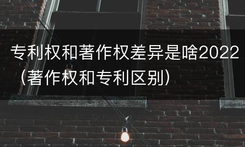 专利权和著作权差异是啥2022（著作权和专利区别）