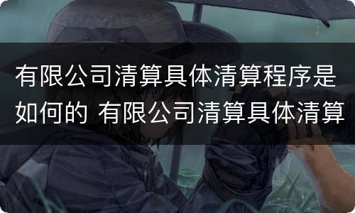有限公司清算具体清算程序是如何的 有限公司清算具体清算程序是如何的流程