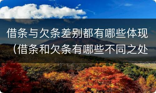 借条与欠条差别都有哪些体现（借条和欠条有哪些不同之处）