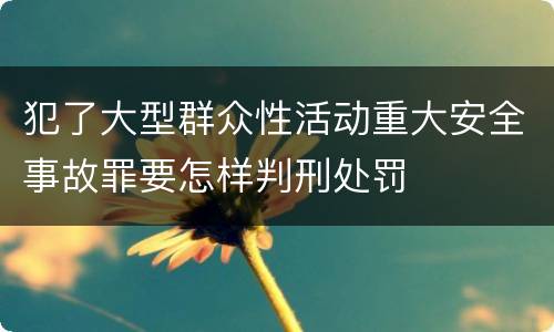 犯了大型群众性活动重大安全事故罪要怎样判刑处罚