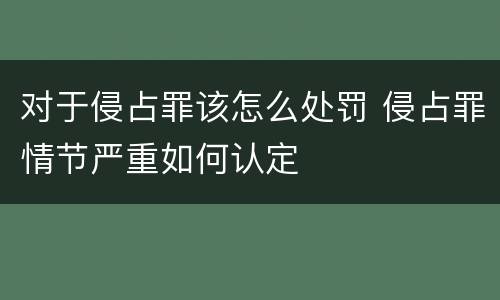 对于侵占罪该怎么处罚 侵占罪情节严重如何认定