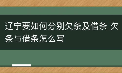辽宁要如何分别欠条及借条 欠条与借条怎么写