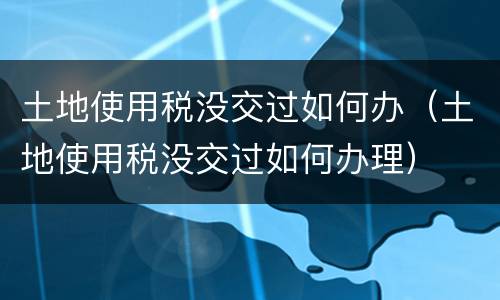 土地使用税没交过如何办（土地使用税没交过如何办理）