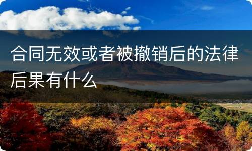 合同无效或者被撤销后的法律后果有什么