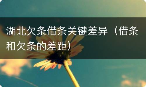 湖北欠条借条关键差异（借条和欠条的差距）