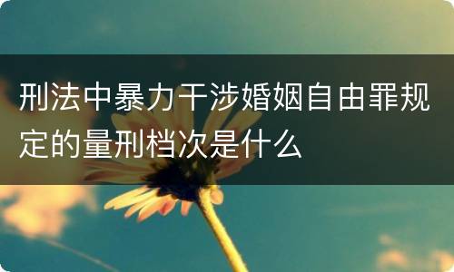 刑法中暴力干涉婚姻自由罪规定的量刑档次是什么