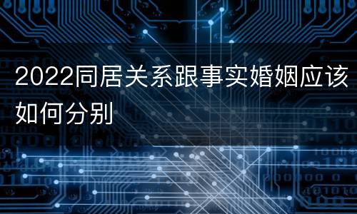 2022同居关系跟事实婚姻应该如何分别