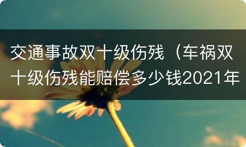 交通事故双十级伤残（车祸双十级伤残能赔偿多少钱2021年）