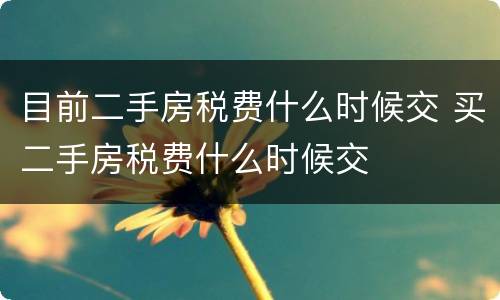 目前二手房税费什么时候交 买二手房税费什么时候交