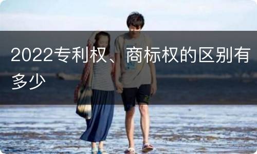 2022专利权、商标权的区别有多少