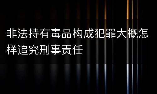 非法持有毒品构成犯罪大概怎样追究刑事责任
