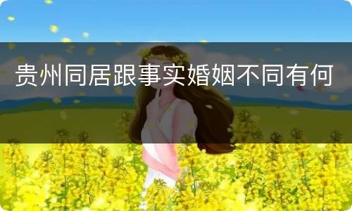 贵州同居跟事实婚姻不同有何