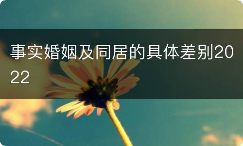 事实婚姻及同居的具体差别2022