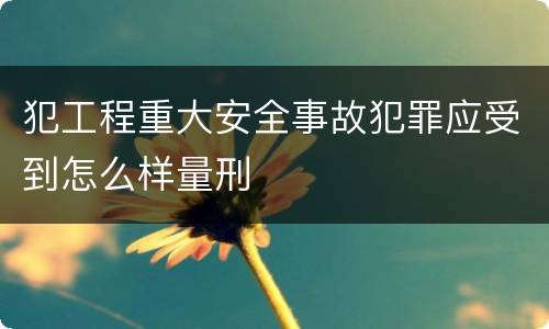 犯工程重大安全事故犯罪应受到怎么样量刑