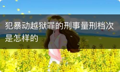 犯暴动越狱罪的刑事量刑档次是怎样的