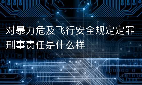 对暴力危及飞行安全规定定罪刑事责任是什么样