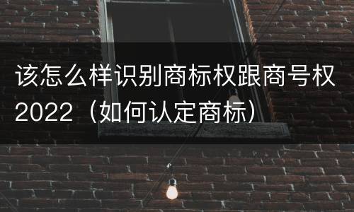 该怎么样识别商标权跟商号权2022（如何认定商标）