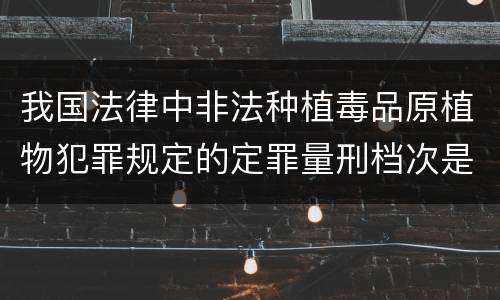 我国法律中非法种植毒品原植物犯罪规定的定罪量刑档次是什么