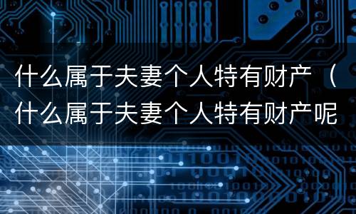 什么属于夫妻个人特有财产（什么属于夫妻个人特有财产呢）