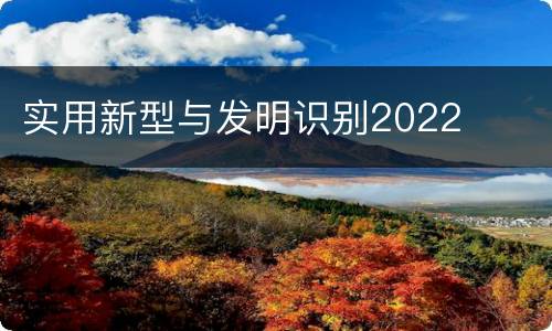 实用新型与发明识别2022