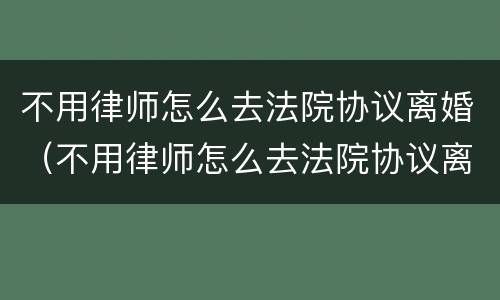 不用律师怎么去法院协议离婚（不用律师怎么去法院协议离婚呢）