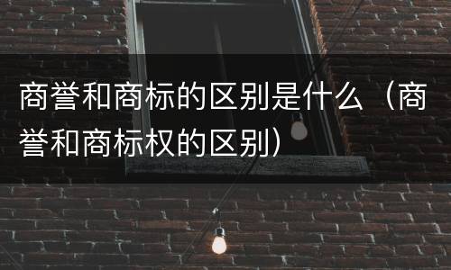 商誉和商标的区别是什么（商誉和商标权的区别）