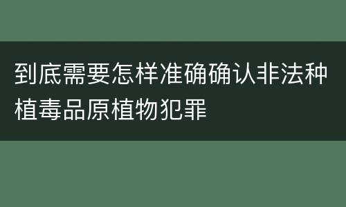 到底需要怎样准确确认非法种植毒品原植物犯罪