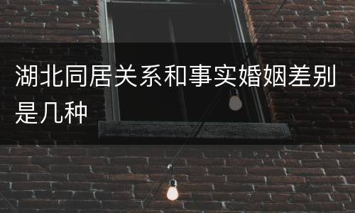 湖北同居关系和事实婚姻差别是几种