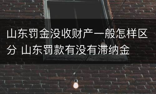 山东罚金没收财产一般怎样区分 山东罚款有没有滞纳金