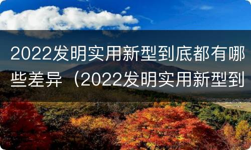 2022发明实用新型到底都有哪些差异（2022发明实用新型到底都有哪些差异呢）