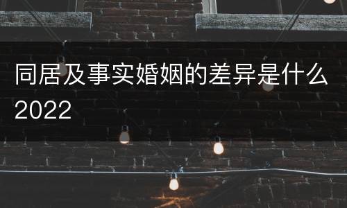 同居及事实婚姻的差异是什么2022