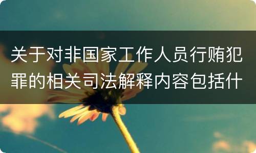 关于对非国家工作人员行贿犯罪的相关司法解释内容包括什么
