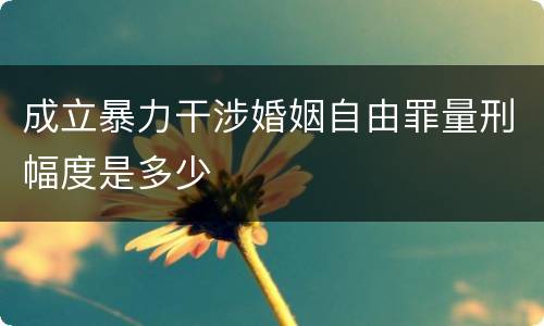 成立暴力干涉婚姻自由罪量刑幅度是多少