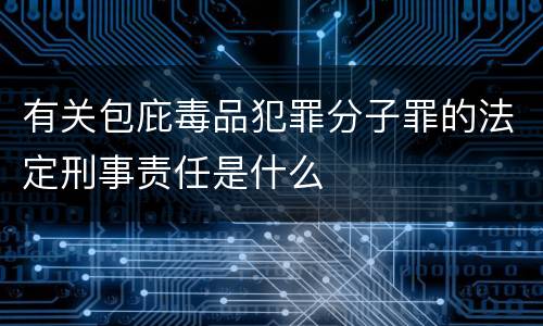 有关包庇毒品犯罪分子罪的法定刑事责任是什么