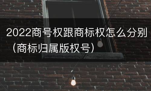 2022商号权跟商标权怎么分别（商标归属版权号）