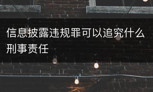 信息披露违规罪可以追究什么刑事责任