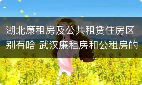 湖北廉租房及公共租赁住房区别有啥 武汉廉租房和公租房的区别