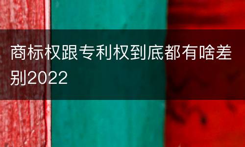 商标权跟专利权到底都有啥差别2022