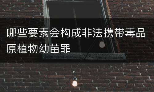 哪些要素会构成非法携带毒品原植物幼苗罪