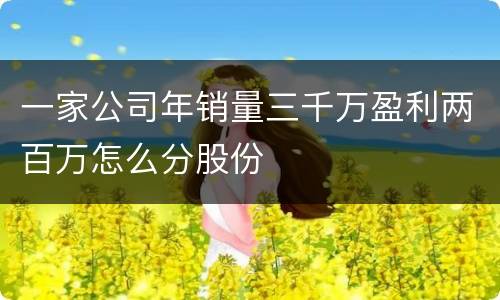 一家公司年销量三千万盈利两百万怎么分股份