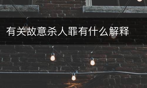 有关故意杀人罪有什么解释