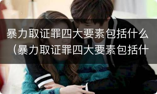 暴力取证罪四大要素包括什么（暴力取证罪四大要素包括什么内容）
