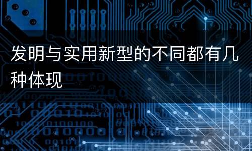 发明与实用新型的不同都有几种体现