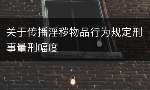 关于传播淫秽物品行为规定刑事量刑幅度