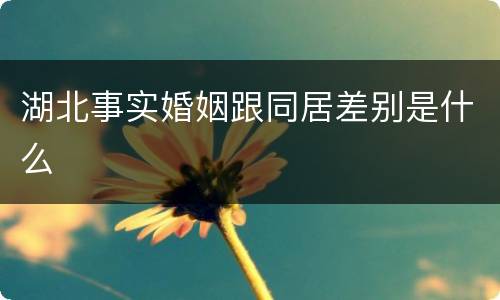 湖北事实婚姻跟同居差别是什么