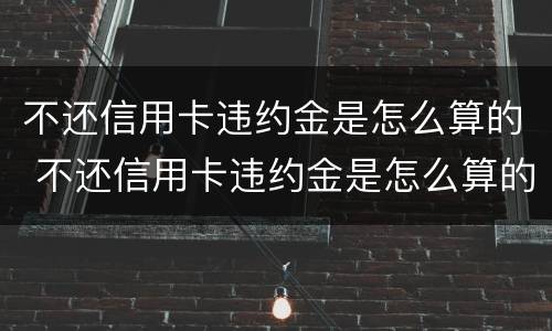 不还信用卡违约金是怎么算的 不还信用卡违约金是怎么算的呀