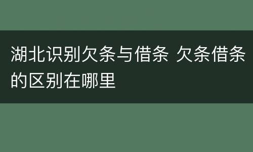 湖北识别欠条与借条 欠条借条的区别在哪里