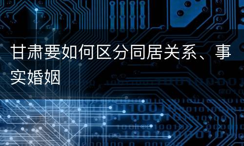 甘肃要如何区分同居关系、事实婚姻